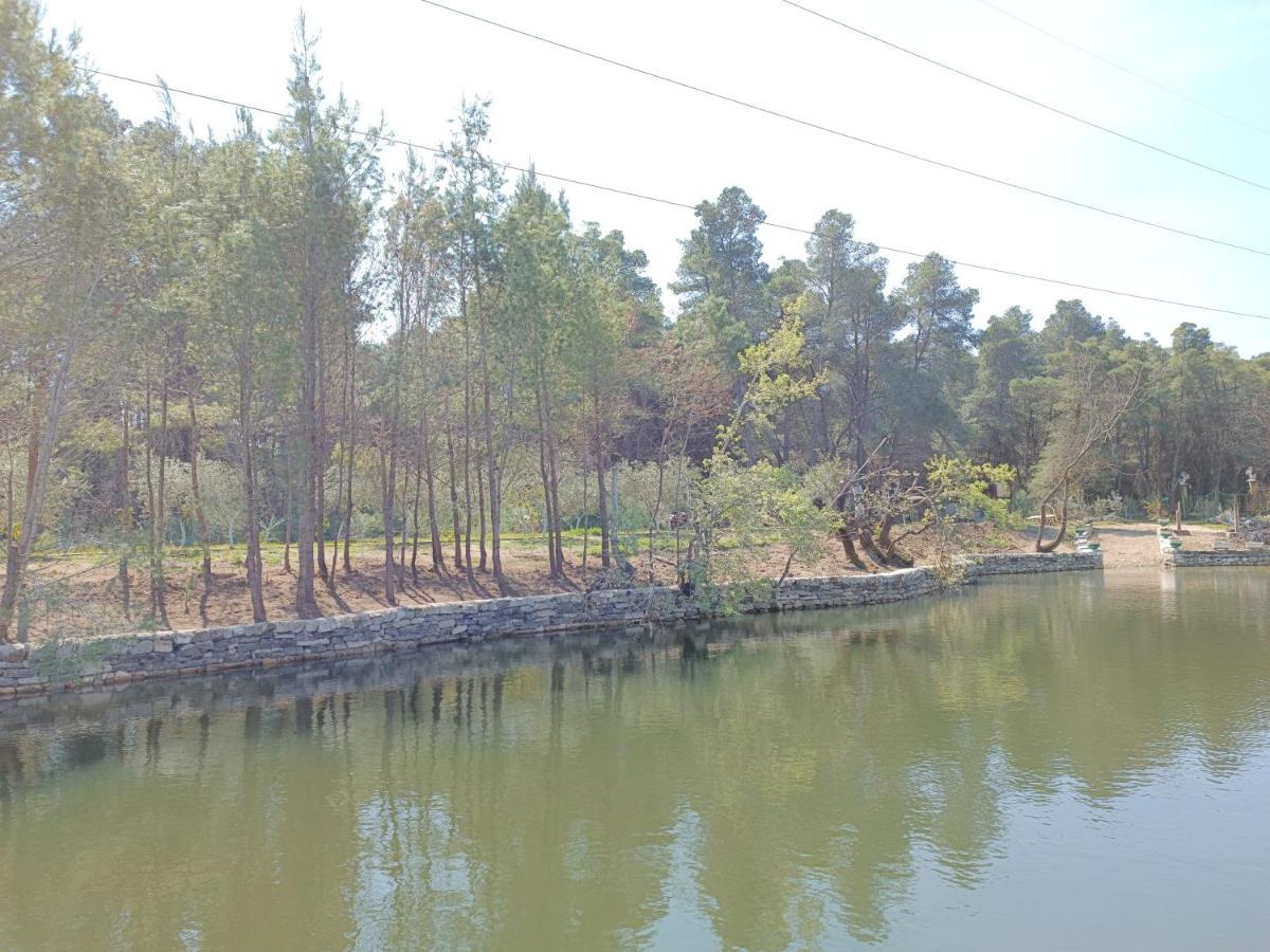 Kavalona Park Hotell Vlorë Exteriör bild